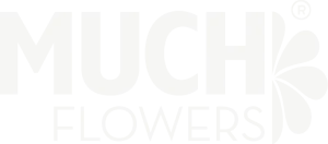 logos muchclaro.webp